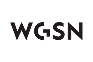 24.WGSN